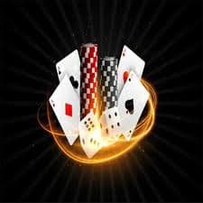 236 bet